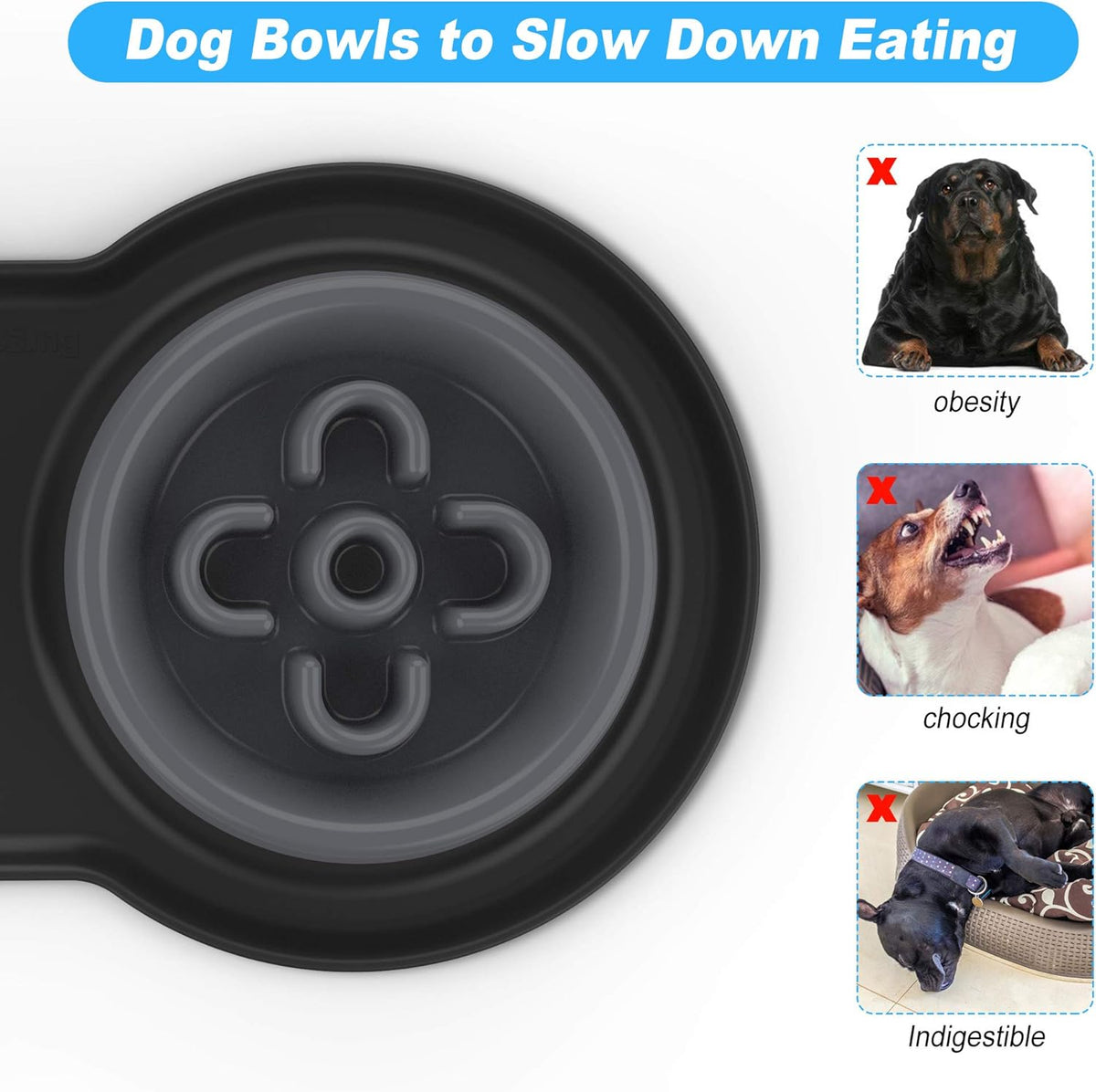 4-in-1 Dog Bowl Set: Slow Feeder, Steel Bowls & Silicone Mat